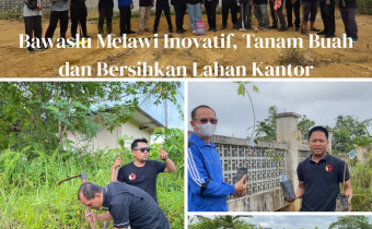 Bawaslu Melawi Inovatif, Tanam Buah dan Bersihkan Lahan Kantor